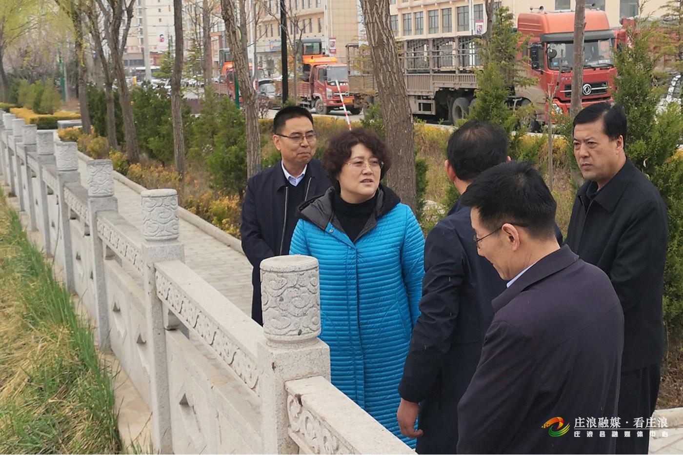 宋树红督查生态环境保护和部分乡镇农业农村工作